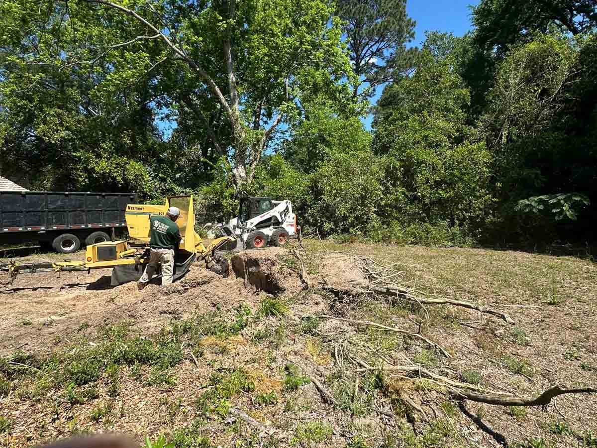 El Costeño Tree Service LLC